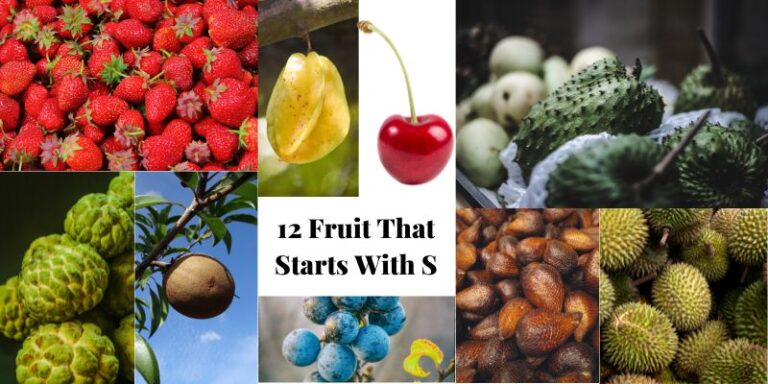 12 Fruit That Starts With S