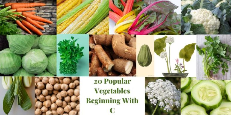 20 Popular Vegetables Beginning With C