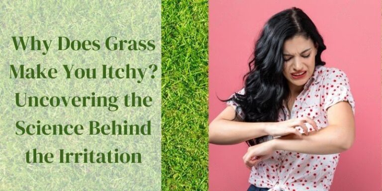 Why Does Grass Make You Itchy Uncovering the Science Behind the Irritation