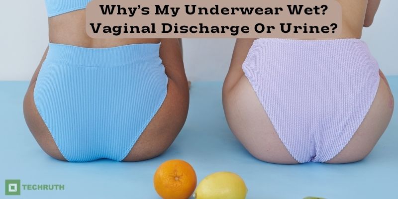 Why’s My Underwear Wet Vaginal Discharge Or Urine